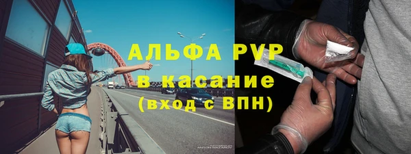 гидра Козловка