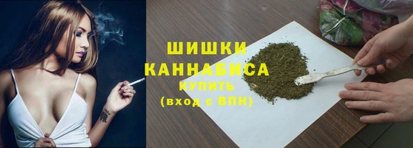 гидра Козловка