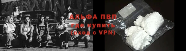 гидра Козловка