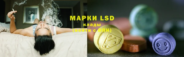 гидра Козловка