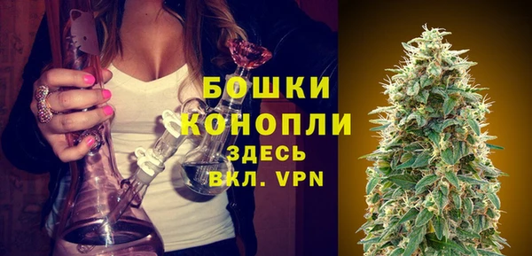 тгк Козельск