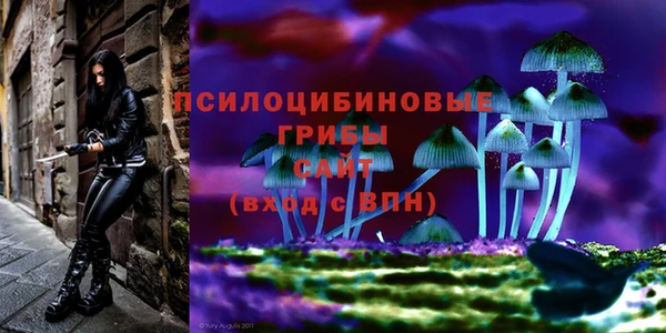 гидра Козловка