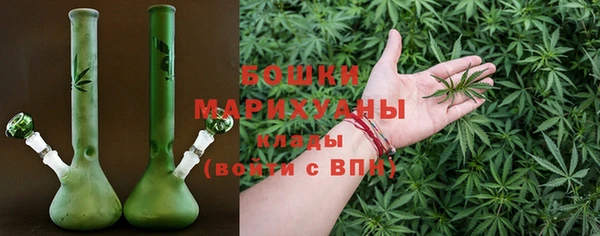 гидра Козловка