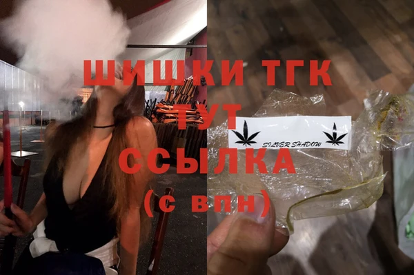 гидра Козловка