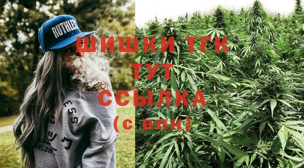 тгк Козельск