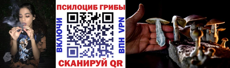 Купить закладки  Троицк  Галлюциногенные грибы мицелий 